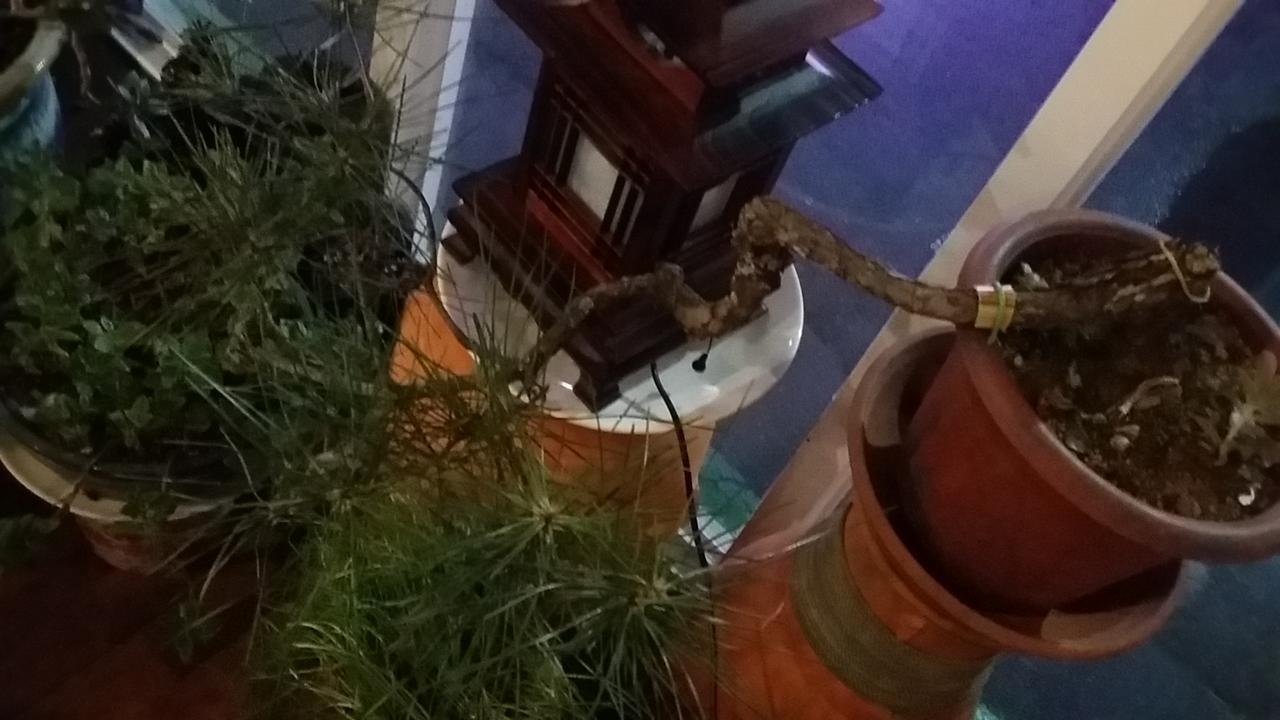エコノミー ホテル 木浦市 エクステリア 写真